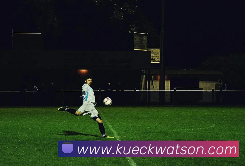 企业概况